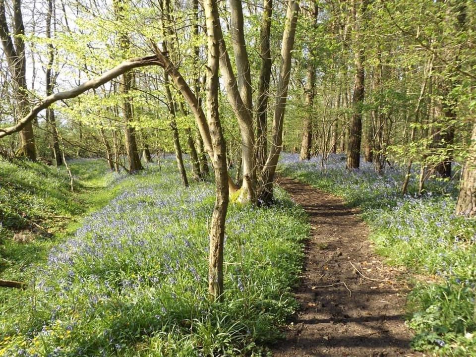 Bluebell Cottage At The Old Tractor Barn Brackley  Bagian luar foto